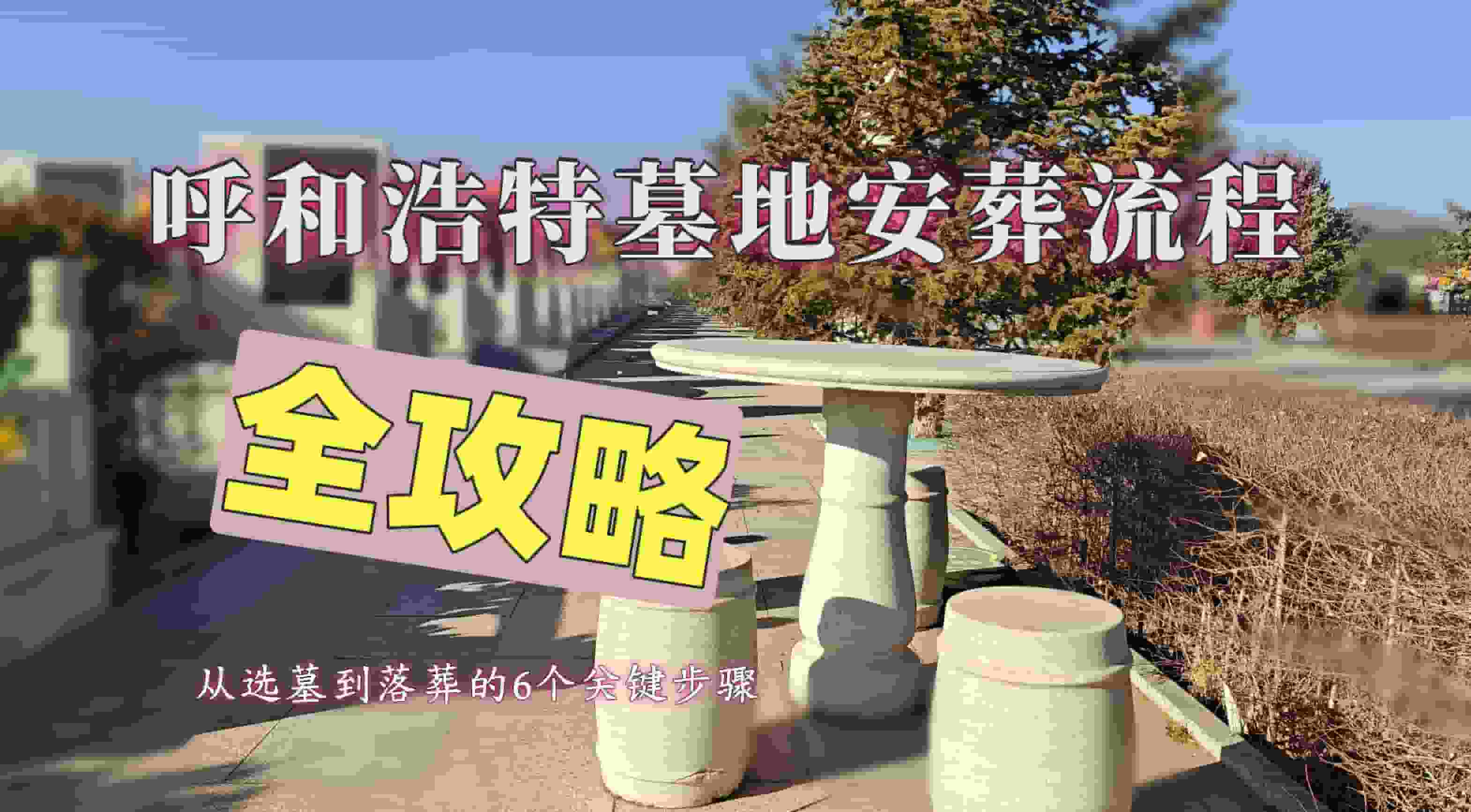 2025.3.14.6.jpg