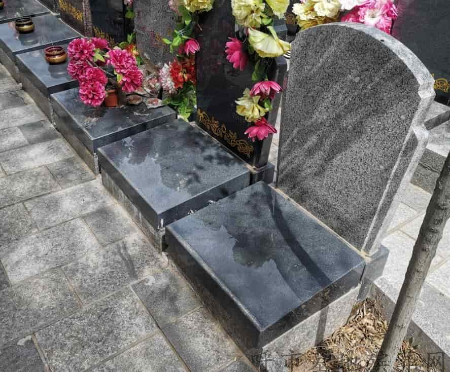 254181.jpg