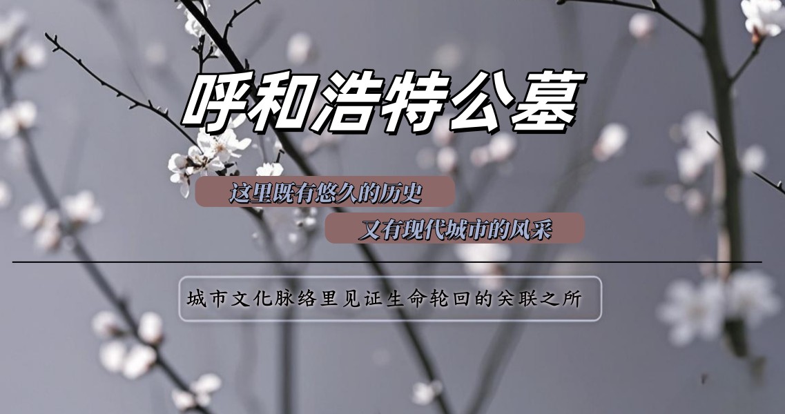 IMG_20250228_123922_副本.jpg